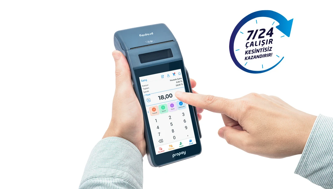 ProPay P1000 ECR